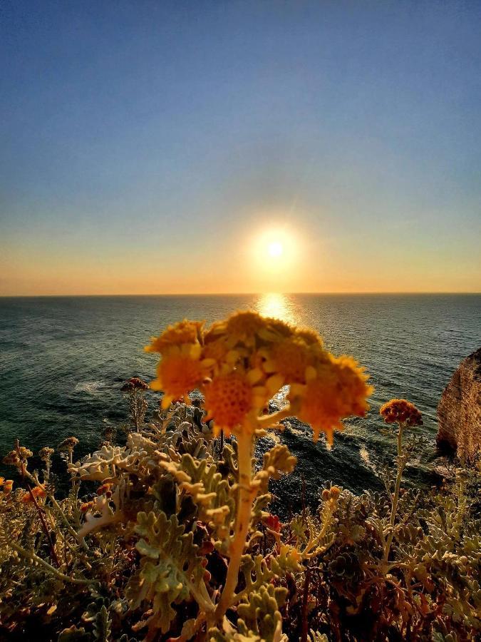 Villa Panorama, Vue Mer Et Falaises D Exception Étretat Exteriér fotografie
